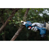 Bosch GGP 12V-25, 06008D8100, Cesoie da giardino blu/Nero