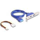 DeLOCK Convertitore M.2 Key B+M connettore > 2 x USB 5 Gbps Tipo-A, Estensione dell'interfaccia 