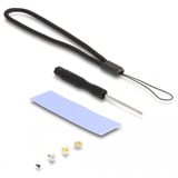 DeLOCK Custodia esterna M.2 NVMe PCle SSD, SATA SSD, Disk enclosure grigio