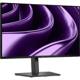 Dell Pro P2426HE, Monitor LED grigio scuro
