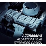 Kingston FURY FURY 32GB 6400MT/s DDR5 CL32 DIMM (Kit da 2) Renegade White XMP, Memoria bianco, 32 GB, 2 x 16 GB, DDR5, 288-pin DIMM