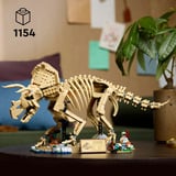 LEGO 77985, Giochi di costruzione 