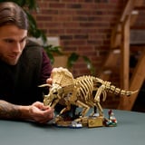 LEGO 77985, Giochi di costruzione 