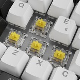 Sharkoon SKILLER SGK50 S3, Tastiera da gioco bianco