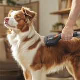 Thomas 787279, Allegato aspirapolvere Nero/grigio