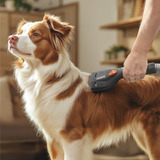 Thomas Set per la cura del pelo, 6 pezzi, Allegato aspirapolvere Nero/grigio