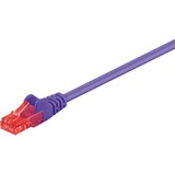 goobay 1m 2xRJ-45 Cable cavo di rete Viola Cat6 viola, 1 m, Cat6, RJ-45, RJ-45