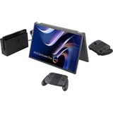ASUS MQ149CD, Monitor LED argento