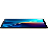 Acer NT.LHREE.001, Tablet PC grigio