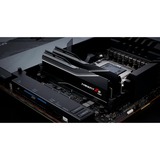 G.Skill F5-6000J3040G32GX2-TZ5N, Memoria Nero