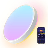 Govee 38cm Lampada da soffitto intelligente RGBICWW Pro, Luce LED 