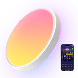 Govee 38cm Lampada da soffitto intelligente RGBICWW Pro, Luce LED 