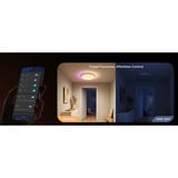 Govee 38cm Lampada da soffitto intelligente RGBICWW Pro, Luce LED 