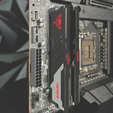 Patriot PVV516G520C36K, Memoria Nero/Bianco