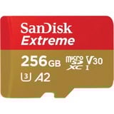 SanDisk Extreme 256 GB MicroSDXC UHS-I Classe 3, Scheda di memoria 256 GB, MicroSDXC, Classe 3, UHS-I, 160 MB/s, 90 MB/s