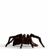 Schleich 13987, Gioco figura 
