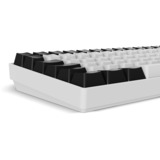 Sharkoon SKILLER SGK50 S2, Tastiera da gioco bianco