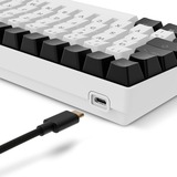 Sharkoon SKILLER SGK50 S2, Tastiera da gioco bianco