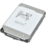 Toshiba MG11ACA 22 TB, Hard-disk 