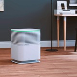 Venta 8073000, Purificatore d'aria bianco