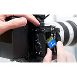 ADATA Premier Extreme SDXC SD8.0 1 TB, Scheda di memoria Nero