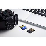 ADATA Premier Extreme SDXC SD8.0 1 TB, Scheda di memoria Nero