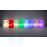 Ansmann Luce notturna Gufo Finn bianco