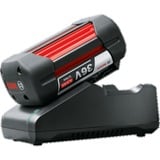 Bosch Set di avvio 36V (GBA 36V 4.0Ah + AL 36V-20) Nero
