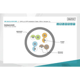 Digitus DK-1613-A-VH-305, Cavo blu