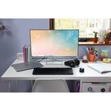 HP 524sf (HSD-0172-K), Monitor LED Nero/Argento