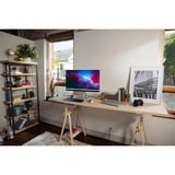 HP 524sf (HSD-0172-K), Monitor LED Nero/Argento