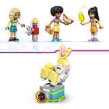 LEGO Friends Cooler Parco Giochi Indoor, Giochi di costruzione 