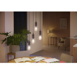 Philips Hue Hue White Ambiance Lampadina a filamento E27 Edison ST64 550, Lampada a LED 