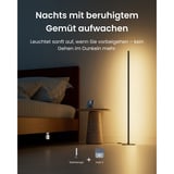 SwitchBot Lampada da terra smarte Stehlampe, Lampada a LED Nero