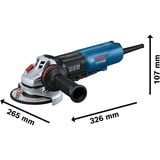Bosch GWS 17-125 SB PROFESSIONAL smerigliatrice angolare 12,5 cm 11500 Giri/min 1700 W 2,3 kg blu/Nero, 11500 Giri/min, 12,5 cm, AC, 2,3 kg
