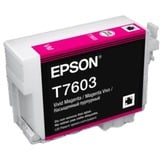 Epson C13T76034N10, Inchiostro 