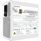 GIGABYTE UD1000GM PG5 V2 ICE, Alimentatore PC bianco