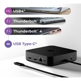 ICY BOX IB-DK4090-C, Docking station 