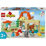 LEGO 10416, Giochi di costruzione 