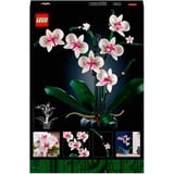 LEGO Botanicals 10311 Orchidea, Set per Adulti da Collezione, Hobby Creativi, Modellino da Costruire con Fiori Finti e Vaso, Giochi di costruzione Set per Adulti da Collezione, Hobby Creativi, Modellino da Costruire con Fiori Finti e Vaso, Set da costruzione, 18 anno/i, Plastica, 608 pz, 758 g