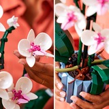 LEGO Creator Expert Orchidea, Giochi di costruzione Set da costruzione, 18 anno/i, Plastica, 608 pz, 758 g