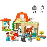 LEGO DUPLO 10416 Cura degli Animali di Fattoria Giocattolo, Giochi Didattici Montessori per Bambine e Bambini da 2 Anni in su, Giochi di costruzione Giochi Didattici Montessori per Bambine e Bambini da 2 Anni in su, Set da costruzione, 2 anno/i, Plastica, 74 pz, 1,2 kg
