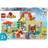 LEGO DUPLO 10416 Cura degli Animali di Fattoria Giocattolo, Giochi Didattici Montessori per Bambine e Bambini da 2 Anni in su, Giochi di costruzione Giochi Didattici Montessori per Bambine e Bambini da 2 Anni in su, Set da costruzione, 2 anno/i, Plastica, 74 pz, 1,2 kg