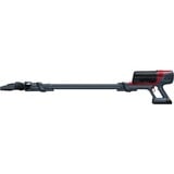 Rowenta RH6878WO, Aspirapolvere verticale Nero/Rosso