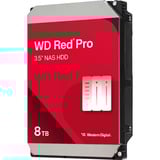 WD Red Pro 8 TB, Hard-disk 