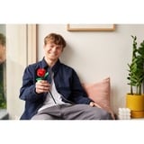 ZURU MAX Rose, Giochi di costruzione 