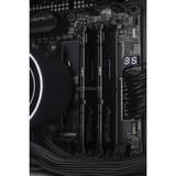 ALTERNATE ALT-BO-AMD-001 Nero/trasparente