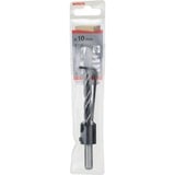 Bosch 2 608 596 396 punta per trapano Punta per trapano elicoidale 2, 1 Trapano, Punta per trapano elicoidale, 1 cm, 120 mm, Legno, 2 cm