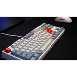 CHERRY CX-K4V2-RGB-TKL-RETRO-R-GER, Tastiera da gioco grigio