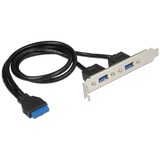 DeLOCK 84836 scheda di interfaccia e adattatore Interno USB 3.2 Gen 1 (3.1 Gen 1) USB 3.2 Gen 1 (3.1 Gen 1), Nero, Blu, Argento, 5 Gbit/s, Sacchetto di politene